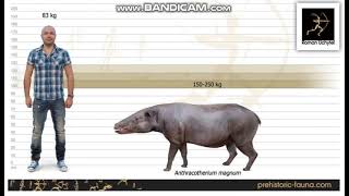 Anthracotherium Sounds