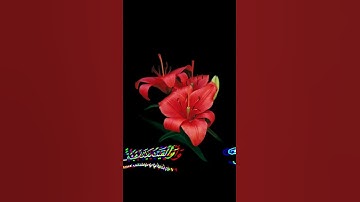 القرآن الكريم | سورة طه | للقارئ شريف مصطفى | تلآوة هادئة تربح الآعصاب😌❤ | حالات واتس اب