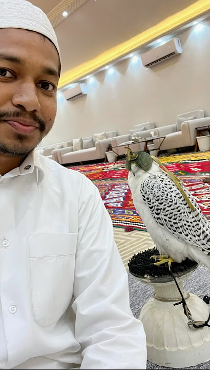 New picture #with Falcon #birds #shorts #trendingshorts #viralvideo #subscribe
