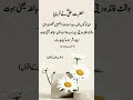 Hazrat Ali R.A quotes#shortsfeed#viralshorts#trendingshorts#urduquotes