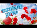 Доброе утро...  ❤️  Всем  кто проснулся!!!  ❤️ КРАСИВОЕ ПОЖЕЛАНИЕ! ❤️ Good morning!❤️