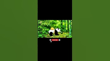 Asmr Ai Animals Video And Voice Satisfying Sounds #prompts #animation #usa #as #satisfying #asmr