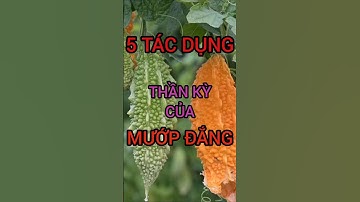 5 Tác Dụng Thần Kỳ Của Mướp Đắng Bạn Không Nên Bỏ Qua #dinhduong #health #sacdep