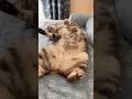 極上ーーー！！！