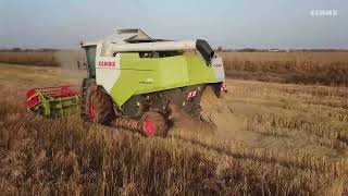 DOMINATOR 260 田間介紹影片
