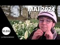 Vlog de mai 2024  du mouron pour les petits oisieaux