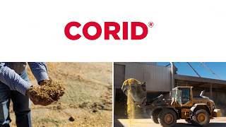 CORID® (amprolium)