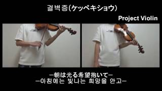 [Project Violin] すこっぷ - 결벽증(ケッペキショウ) violin cover chords