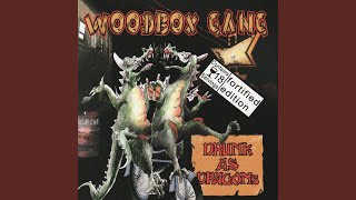 Video thumbnail of "The Woodbox Gang - Drunk as Dragons"