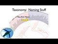 Understanding Taxonomy and Classification