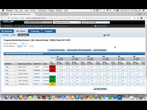 DIBELS Progress Monitoring