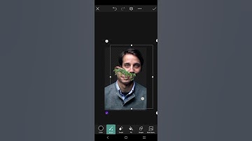 #Shorts Creative Double Exposure Editing Photo | Photo Manipulation Editing using PicsArt 2023