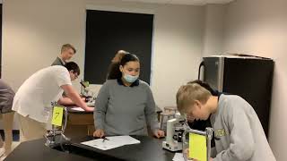 Internship II Videoed lesson
