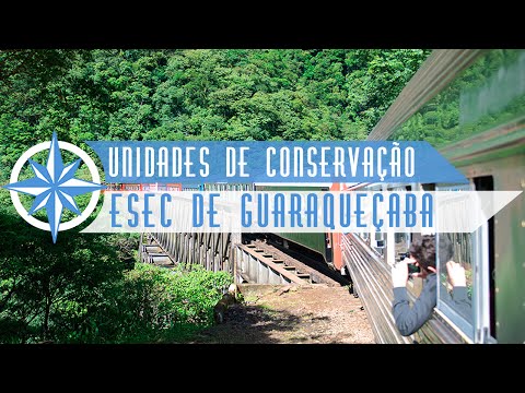 Estação Ecológica de Guaraqueçaba - Episódio 6