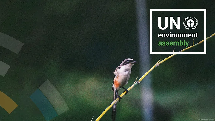 Strengthening and Harmonizing Ocean Governance for a Resilient Future by 2030