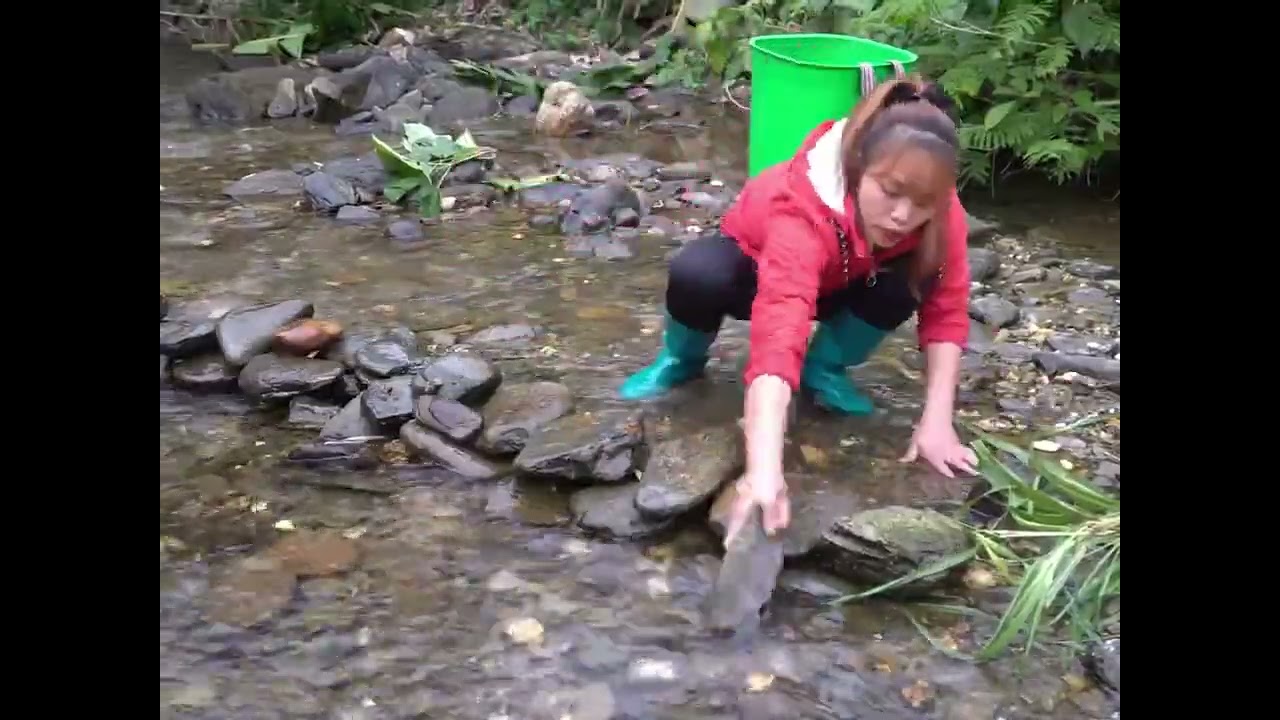 Primitive Fish Trap in a Forest Stream• Survival Fishing in Flowing Water