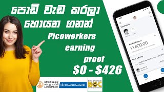 Picoworkers | Small jobs earning proof sinhala