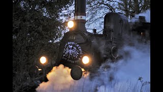 Rock &#39;n&#39; Roll Train 2017 - Die toten Hosen (Magical Mystery Tour)