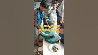 LIVE LAYAR TANCAP MALAM INI DI AMPRAK PASIR SERPONG #shorts