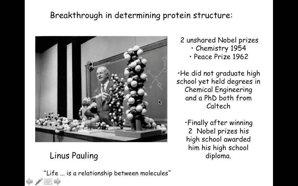 Basic Protein structure 1- Moitra, Trinity Washington University