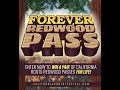 Forever Redwood Contest