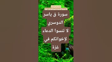 سورة ق ياسر الدوسري #المصحف #لايك #تيك_توك #قران_كريم #حالات_واتس #راحة_نفسية #دويتو #ترند #اكسبلور