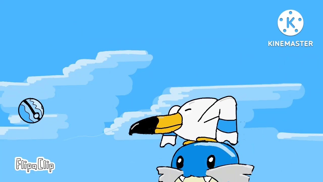 The Wingull Pokemon Animation..