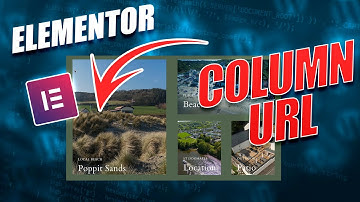 Elementor Column URLS that work - Make column clickable for Elementor