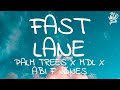 Palm Trees X MdL X Abi F Jones - Fast Lane (Lyrics)
