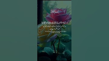 سورة النصر QURAN #quran_alkarim #beutifullvoice #duet