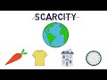 The Impact of Scarcity on Economic Choices and Decision-Making