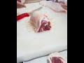 KABAB KE CHASKEY... Learn & Enjoy(12)