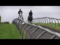 How To Improve Your Horse S Fitness With William Fox Pitt Horse Rider 