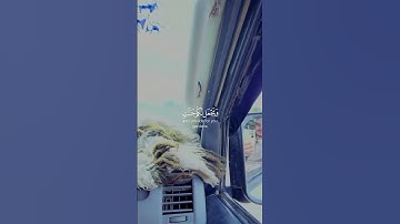 قران كريم #فقلت_استغفروا_ربكم_إنه_كان_غفارا #قران_كريم #اكسبلور #funny #ايات_قرانيه_قصيره #ترند