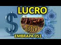 LUCRO 300 POEDEIRAS EMBRAPA 051 em tempos de pandemia