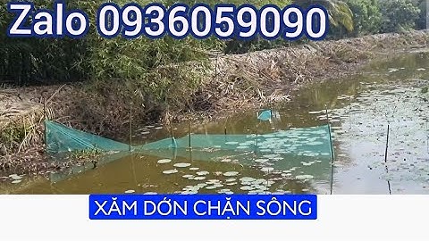 Bán dớn chặn sông. Bán xăm, dớn chặn sông. Bán lú dớn bắt cá. Bán dớn bắt cá. Zalo 0936059090.