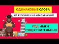 Одинаковые слова как на русском так и на итальянском | Род имен существительных в итальянском языке