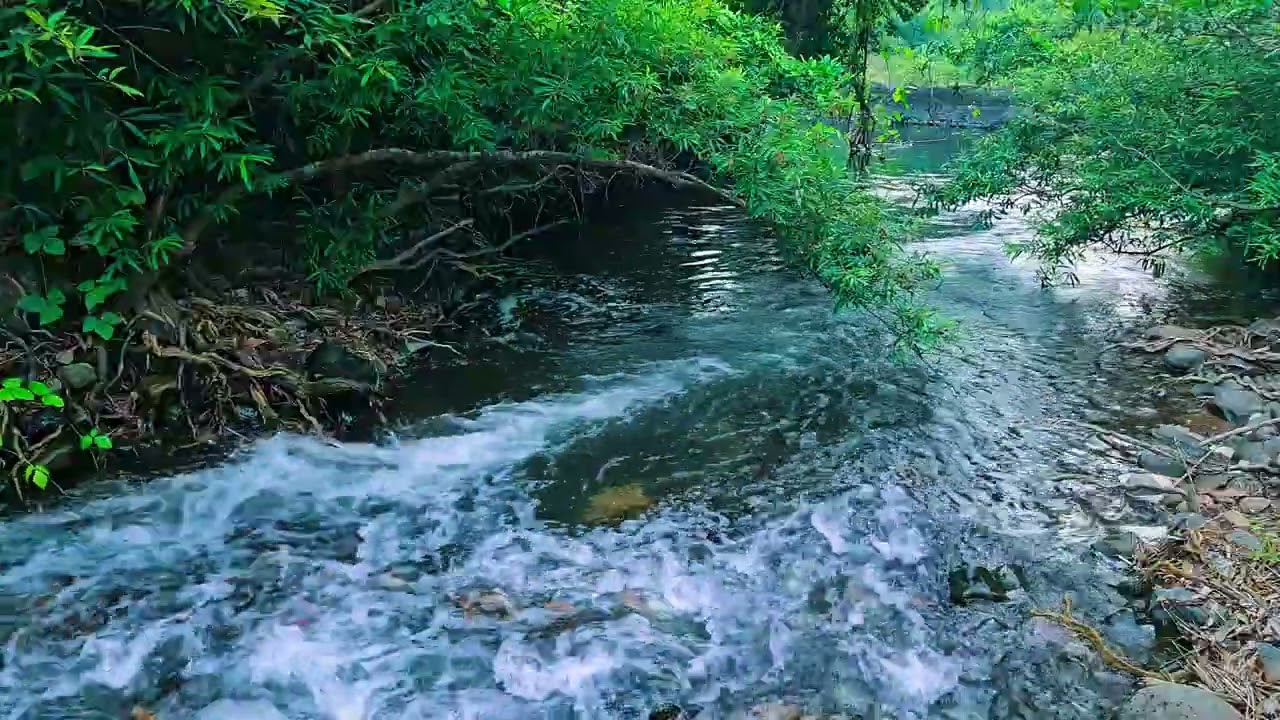 Relaxation With Beautiful River Waterfall Ang Original Netural Sounds #031