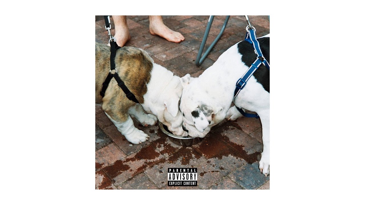 Watch Namaste - Shots on YouTube Watch Namaste - Shots on YouTube