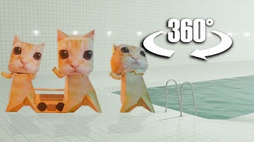 The Classrooms – Poolrooms: Ay Mi Gatito Miau Miau In 360/VR