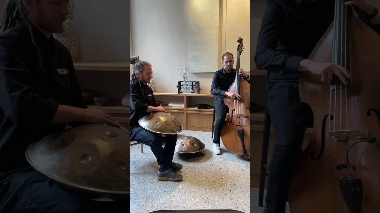 Паша Аеон и Дмитрий Семенищев - ханг и контрабас перформанс #handpan #doublebass #контрабас #ханг