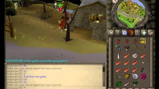 runescape 2007 bot failing