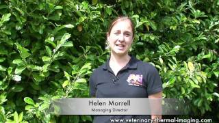 Using Equine Thermography to achieve the perfect Saddle Fit