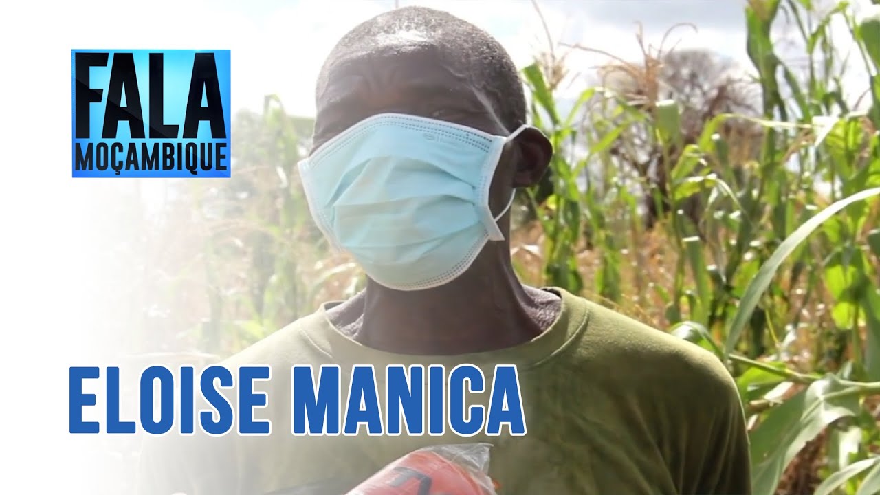CICLONE ELOISE EM MANICA