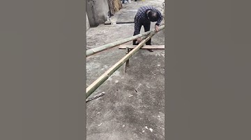 This is the process of splitting bamboo easily #shorts