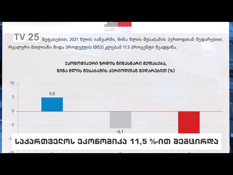 საქართველოს ეკონომიკა 11.5%-ით შემცირდა
