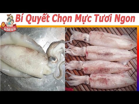 Video: Cách Chọn Mực