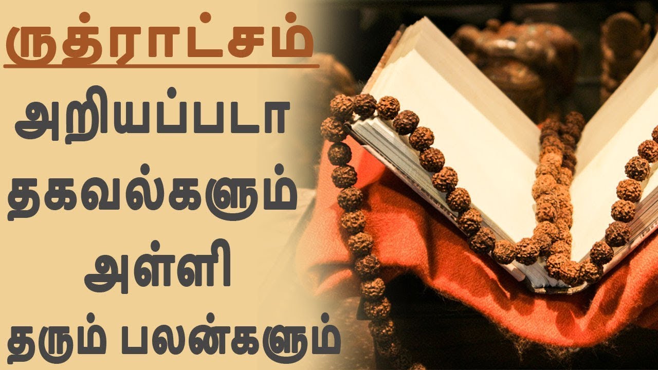 ருத்ராட்சம்  அறியப்படா தகவல்களும் அள்ளி தரும் பலன்களும் | Rudraksham Unknown Facts And Uses Of It