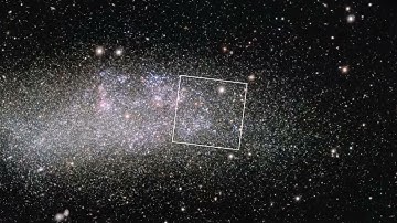 James Webb Space Telescope: Zoom Into Dwarf Galaxy WLM