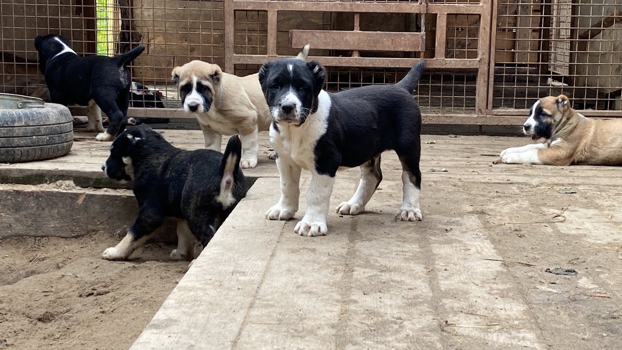 +79157787787 - YouTube